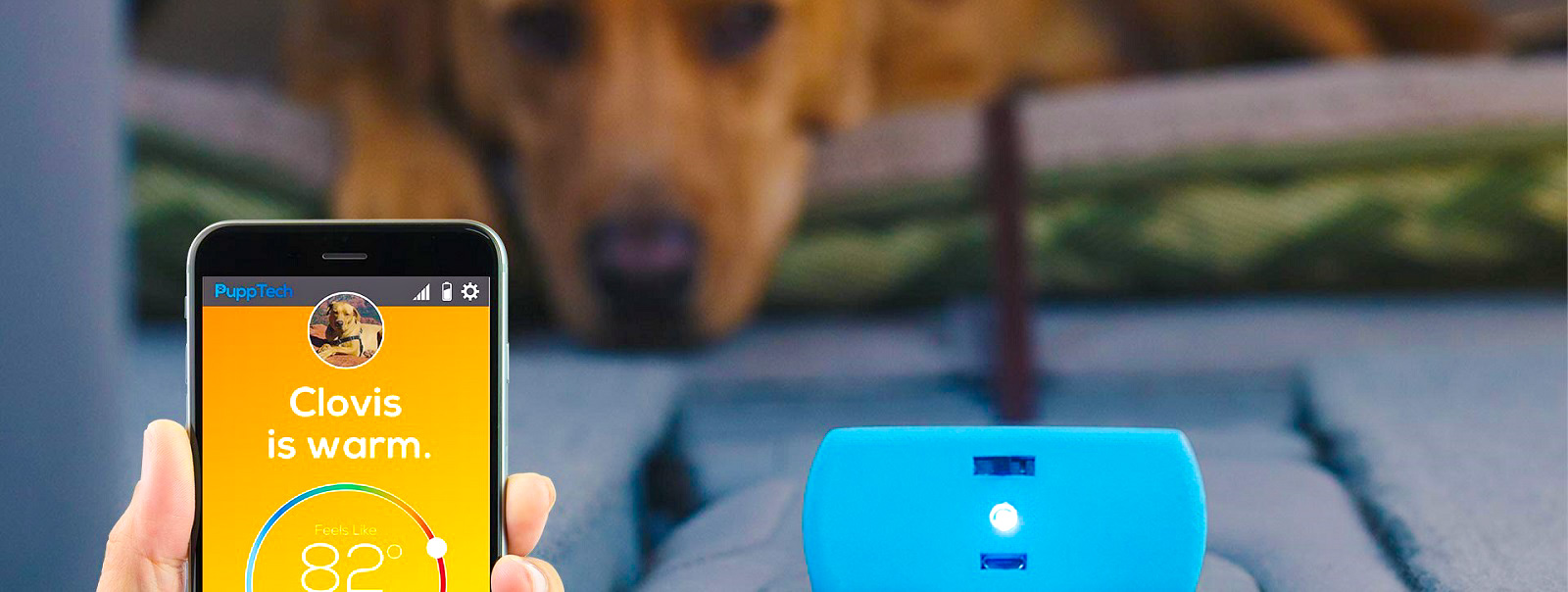 PuppComm – пристрій для спостереження за вашою собакою